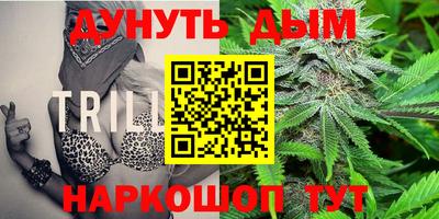 СК Бузулук
