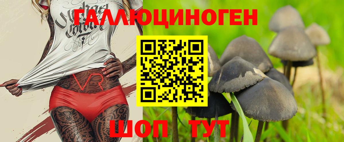 Галлюциногенные грибы Cubensis  Вход с VPN  Лиски 